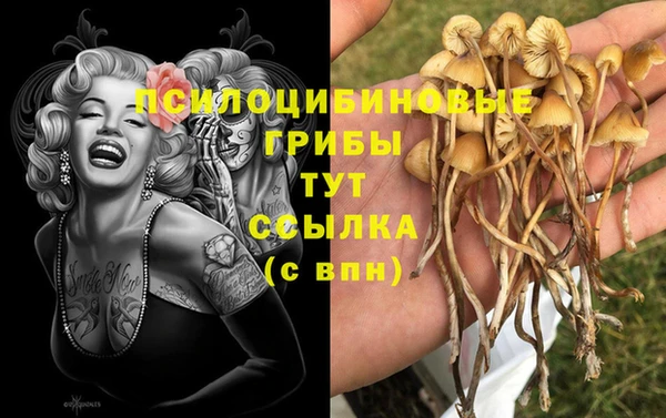 кокаин Вяземский