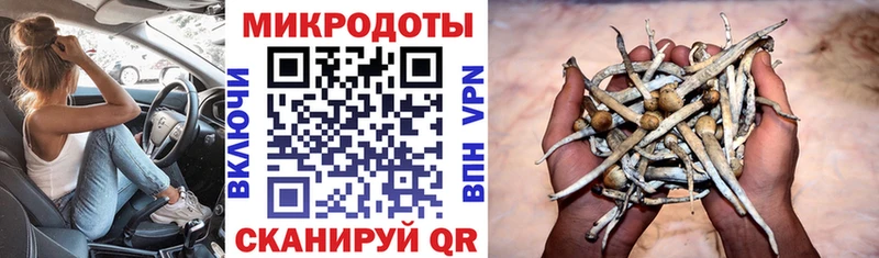Псилоцибиновые грибы Psilocybine cubensis  Ачинск 